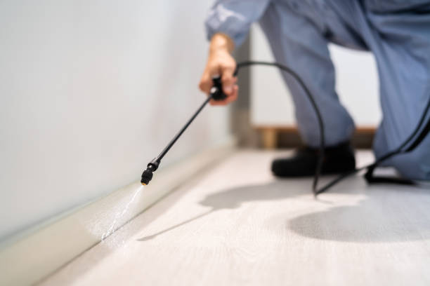 Rodent Entry Point Assessment in Austin