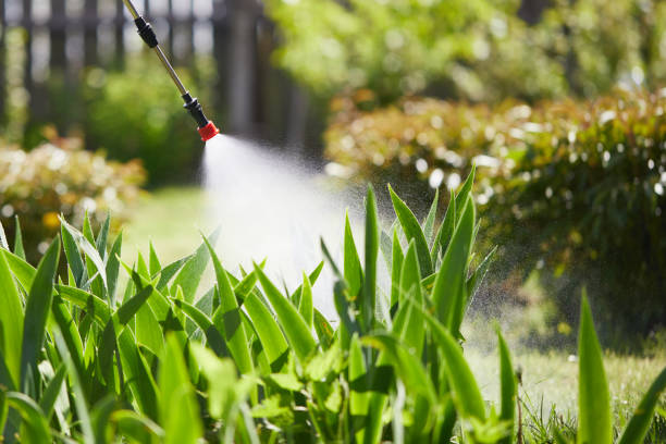 Tamper-Resistant Bait Stations for Rodents in Austin