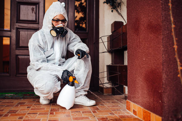 Attic and Crawl Space Rodent Treatment in Austin