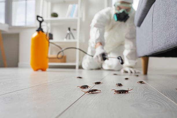 Commercial Rodent Management in Austin